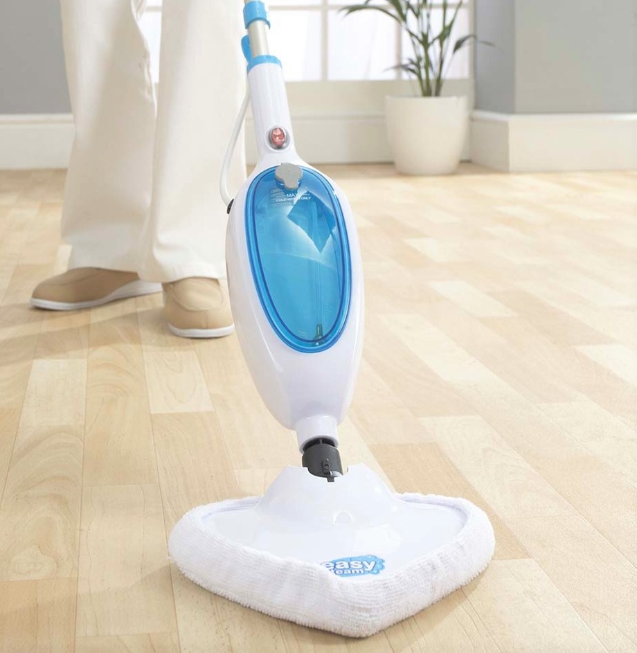 What kills bed bugs instantly? Useful tips to kill bed bugs Spoxor