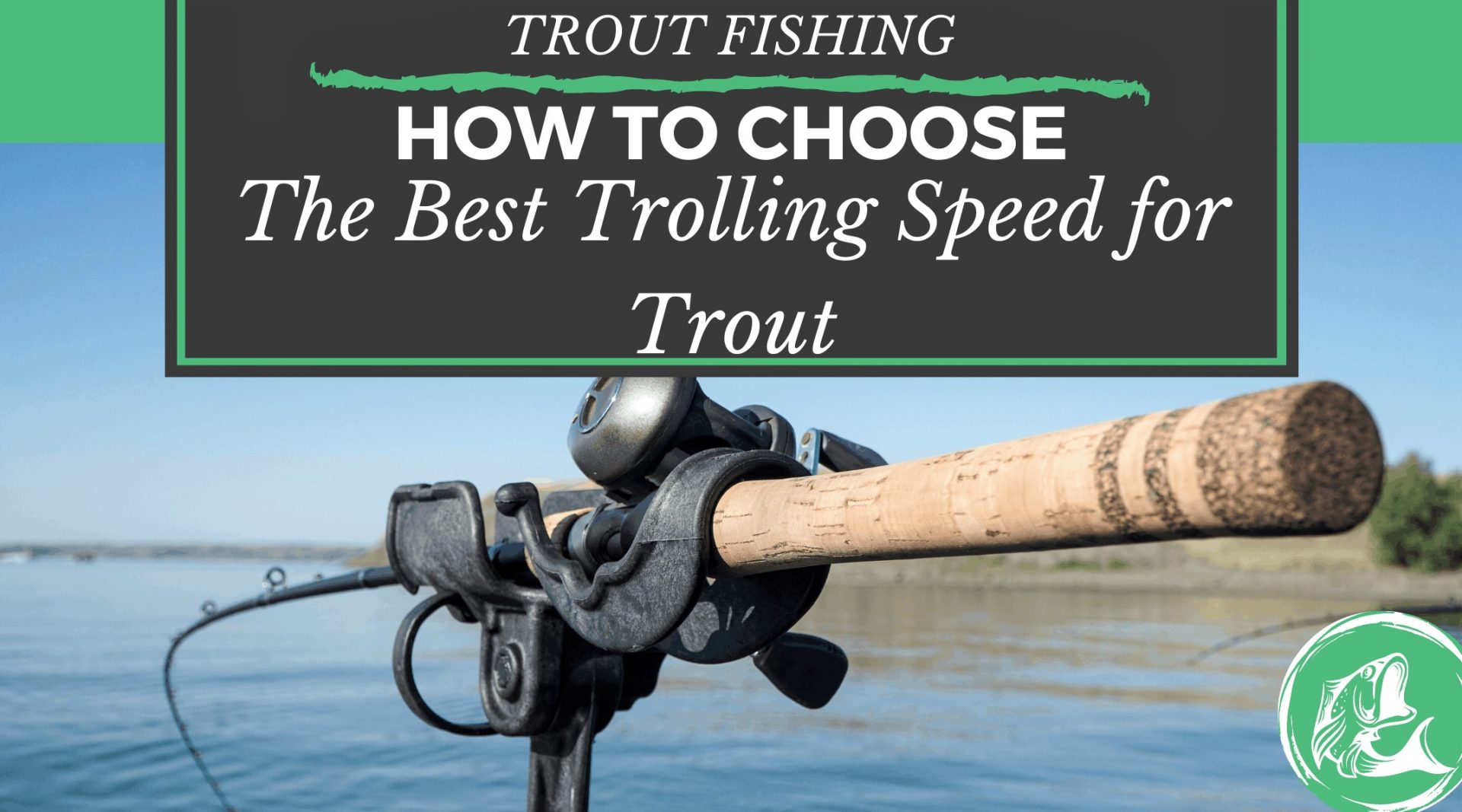 Best Trout Trolling Techniques, Tips & Tricks Troll Tactics Spoxor