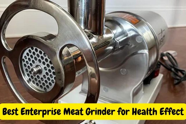 Best Enterprise Meat Grinder for Health Effect