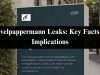 Understanding the Nnevelpappermann Leaks: Key Facts and Implications for 2024 Understanding the Nnevelpappermann Leaks: Key Facts and Implications for 2024
